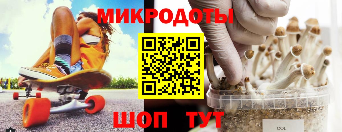 Медногорск  Галлюциногенные грибы мицелий  Вход с VPN 