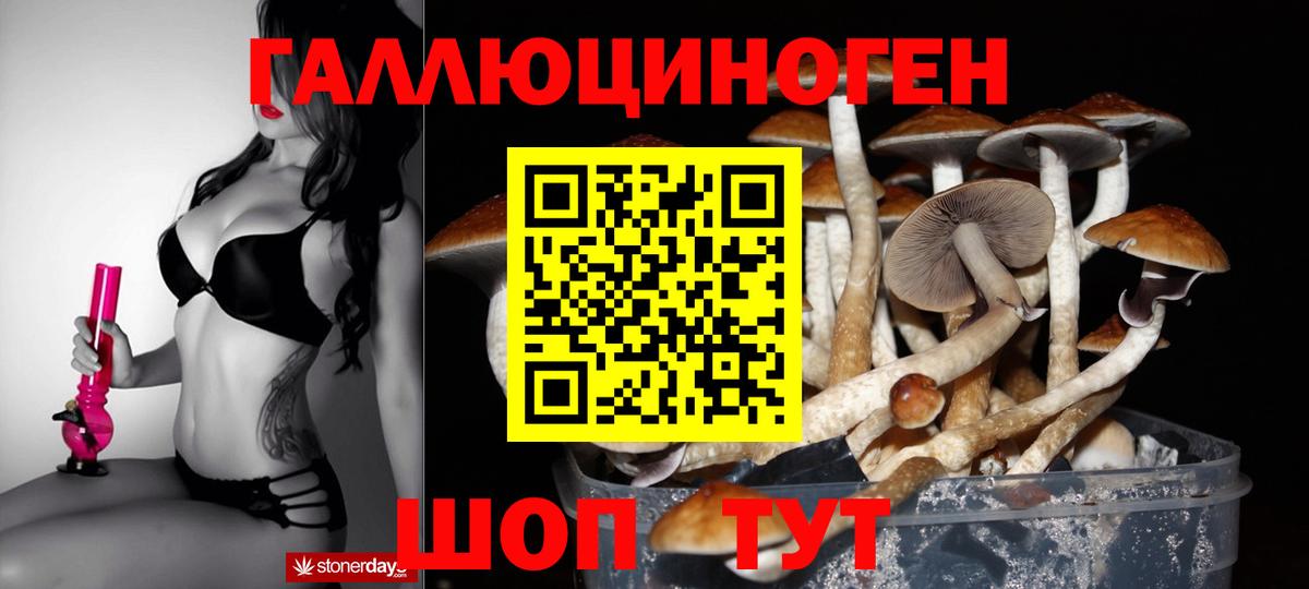 Псилоцибиновые грибы MAGIC MUSHROOMS Медногорск